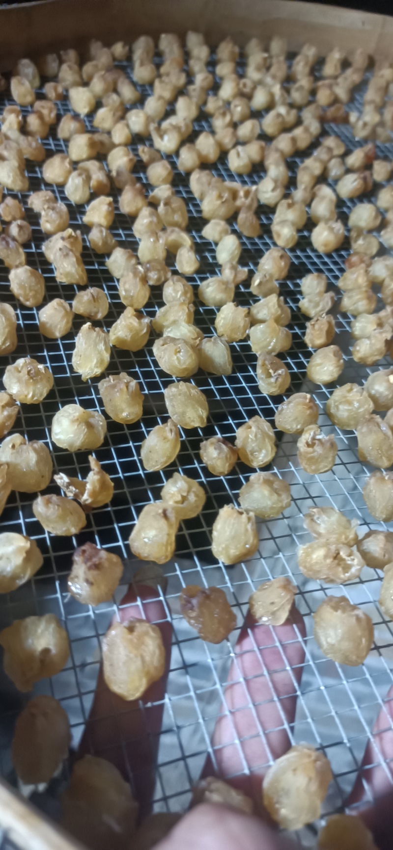 桂圆肉