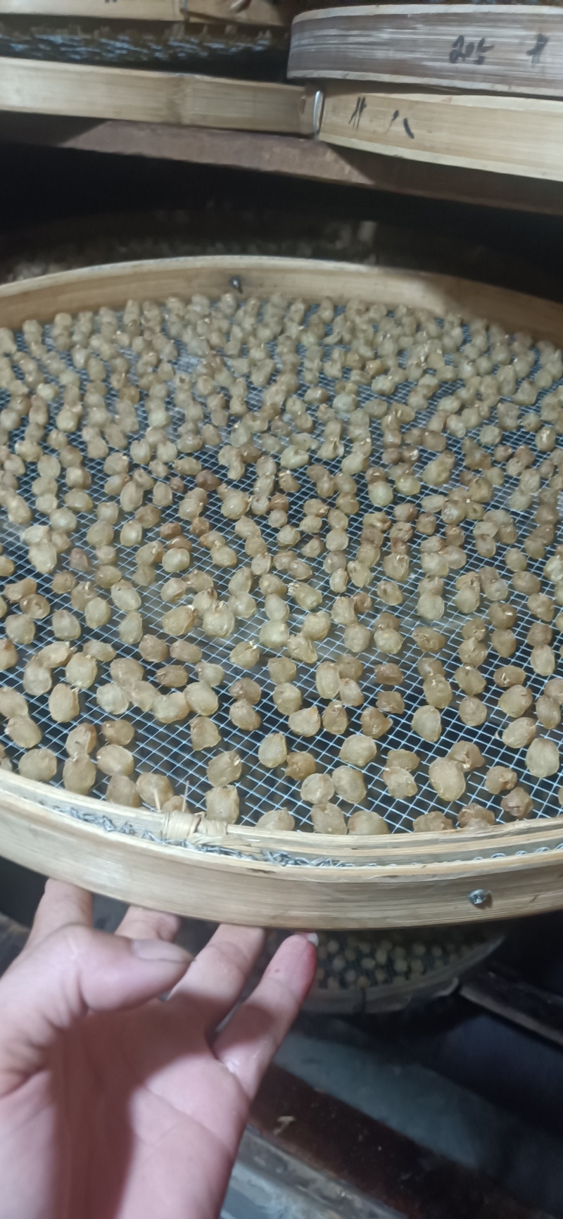 桂圆肉