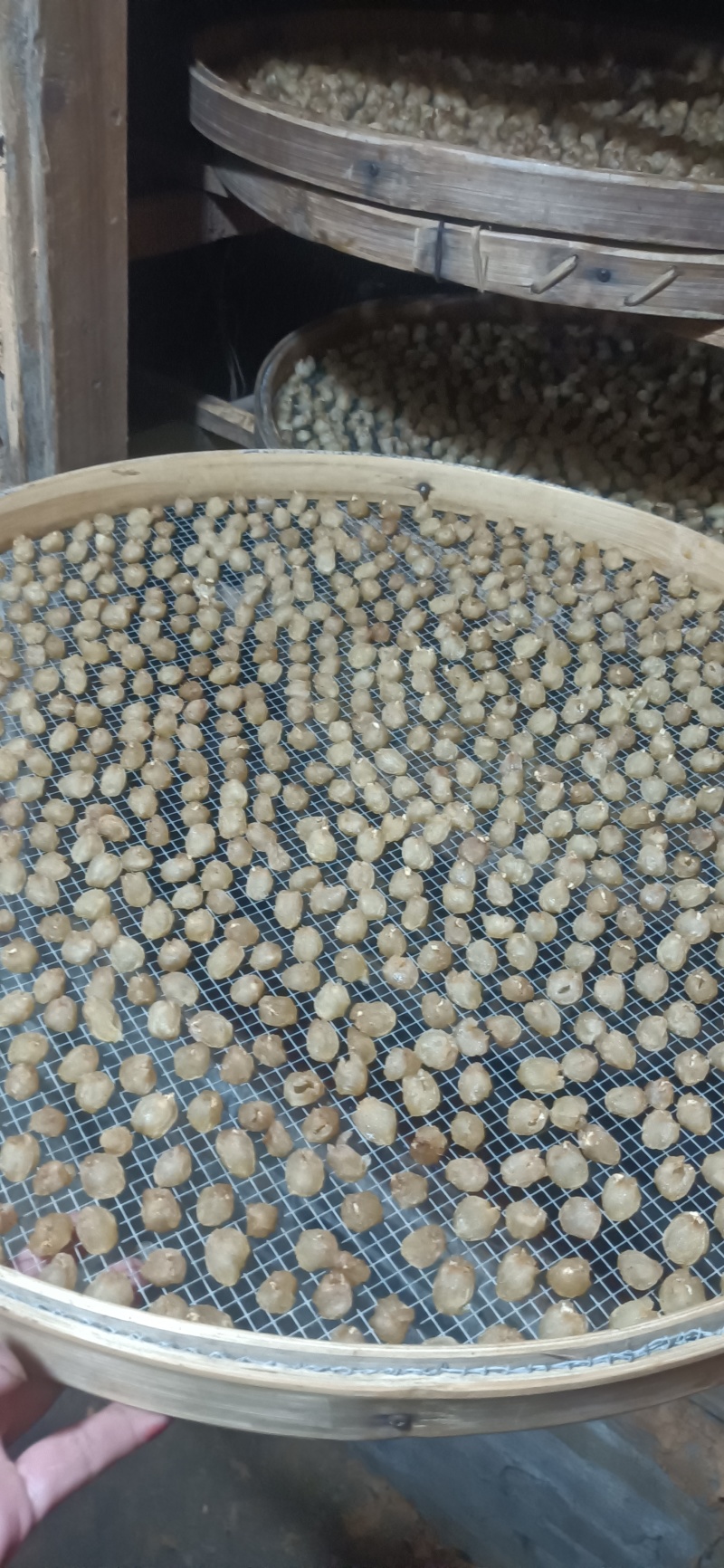 桂圆肉