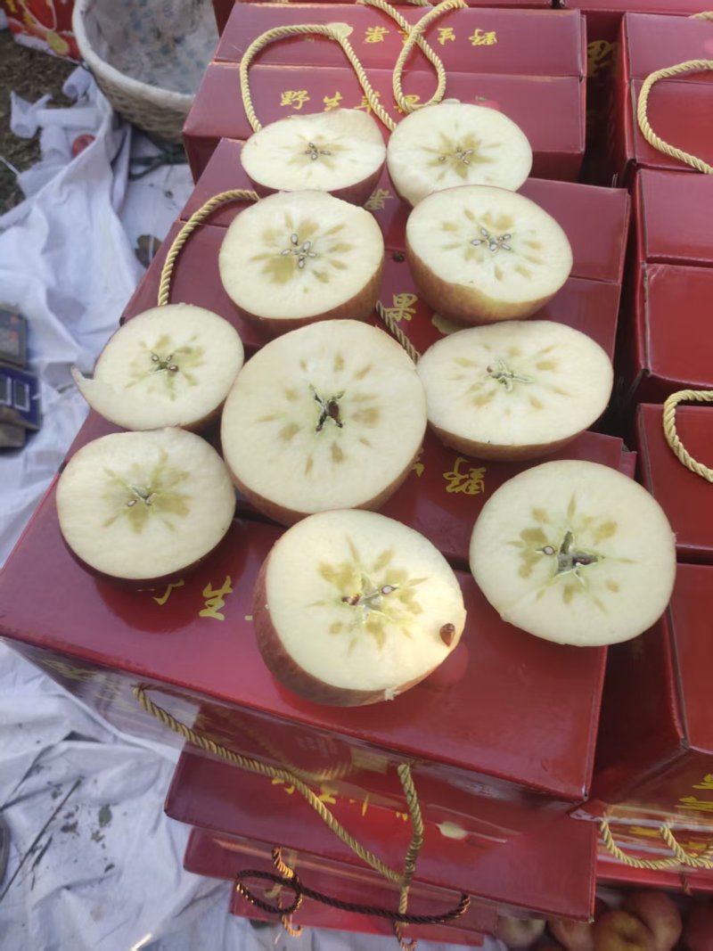 昭通、丑苹果、冰糖心苹果、大量现货价格美丽，口感清脆