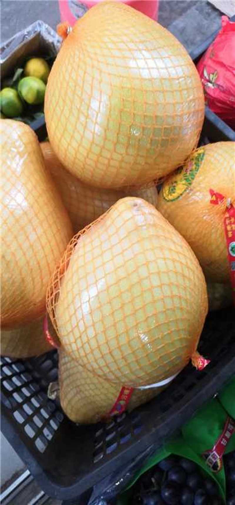 红心蜜柚，现摘现发大量供应品质保证，量大从优