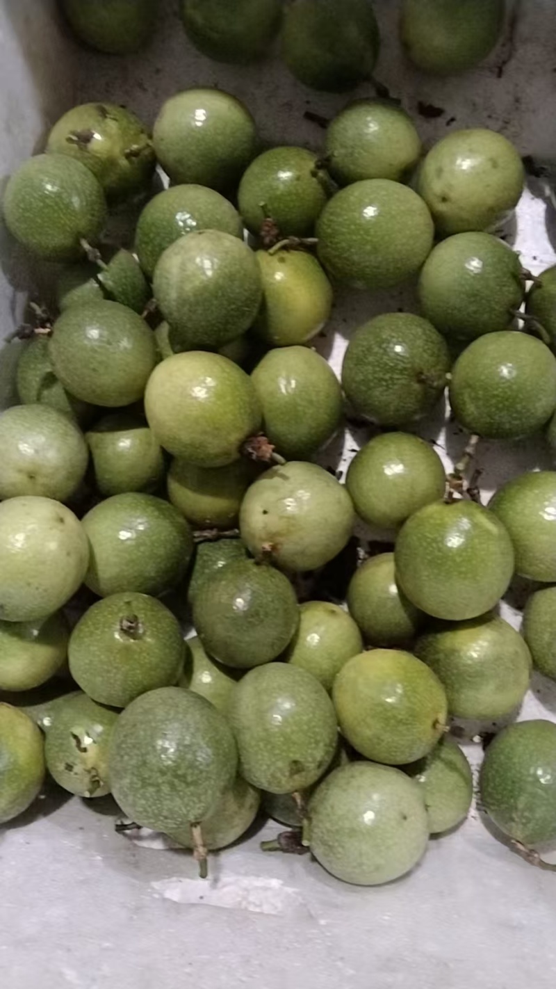 广西百香果