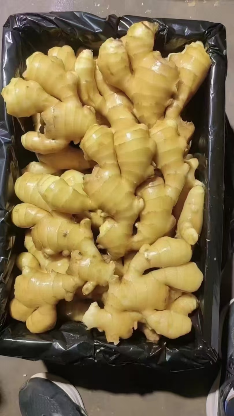精品姜母山东莒县产地直发大黄姜，小黄姜，姜巴，仔姜