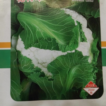 花椰菜