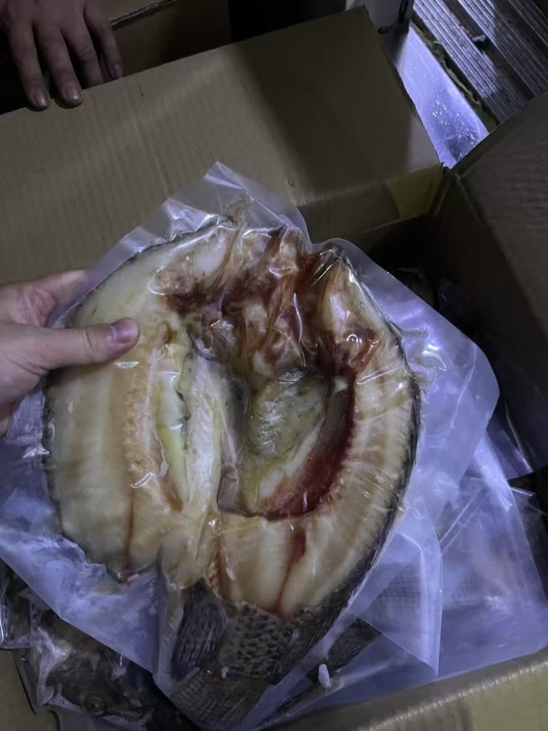 三去罗非鱼开背罗非鱼罗非鱼块各种规格可以定制