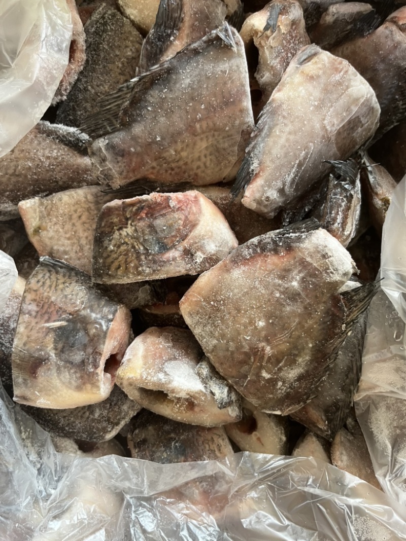 三去罗非鱼开背罗非鱼罗非鱼块各种规格可以定制