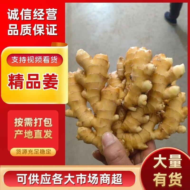 姜巴货量充足，大黄姜小黄姜仔姜诚信经营山东生姜