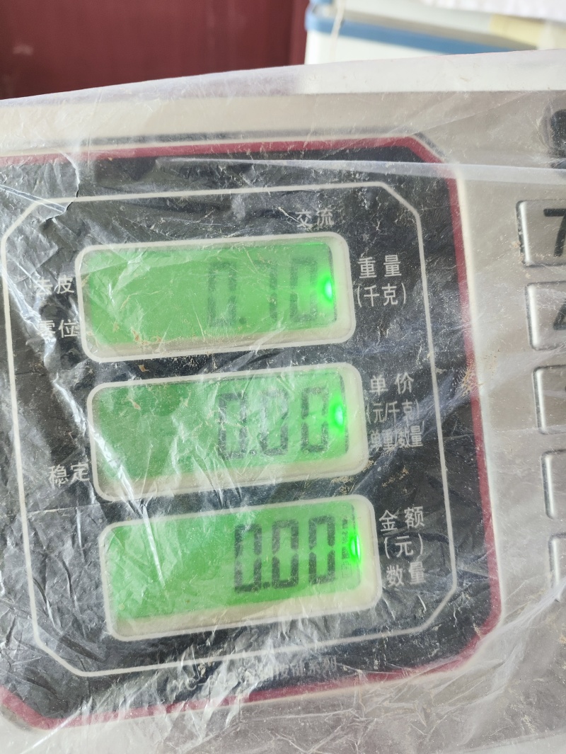 精品年糯玉米大量有货