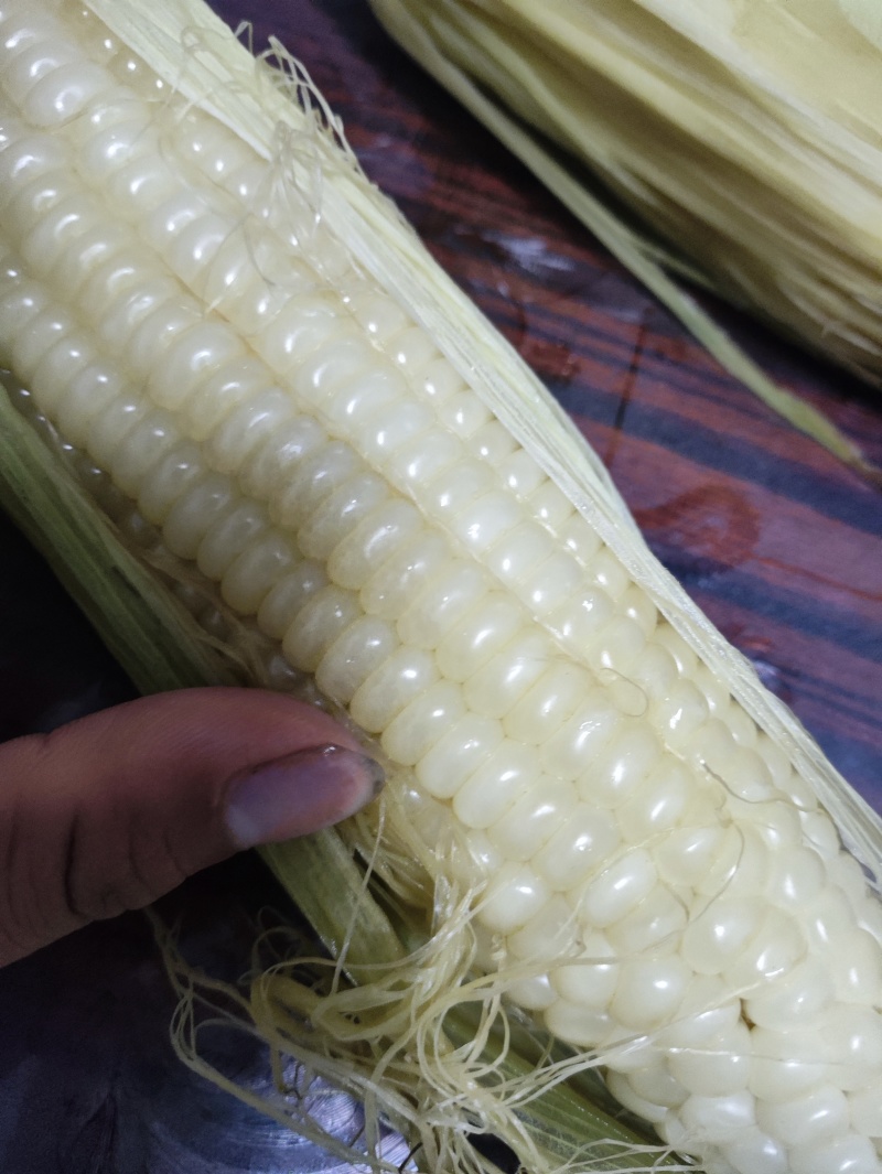 精品年糯玉米