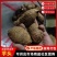 精品芋头，山东莒县芋头货量充足，毛芋头，粉糯牛奶小芋头