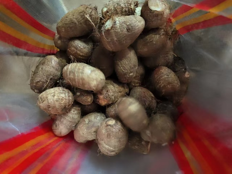 精品芋头，山东莒县芋头货量充足，毛芋头，粉糯牛奶小芋头