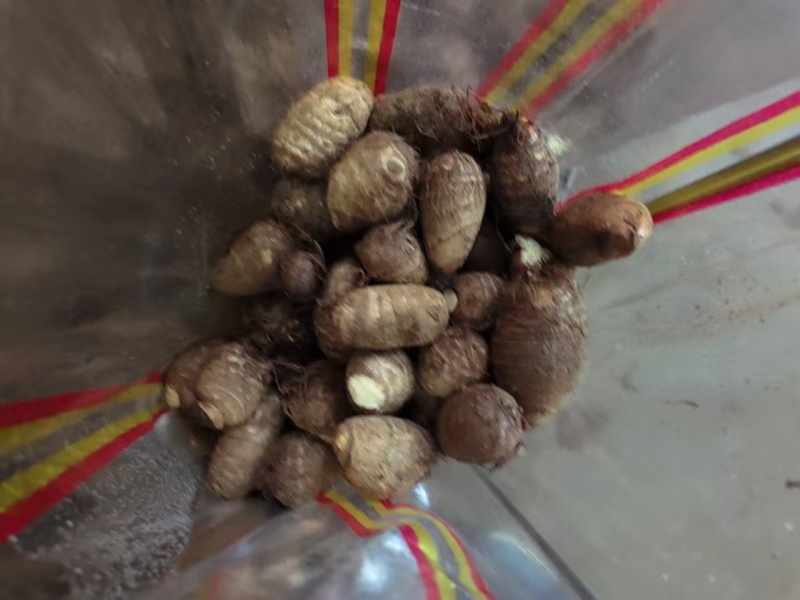 精品芋头，山东莒县芋头货量充足，毛芋头，粉糯牛奶小芋头