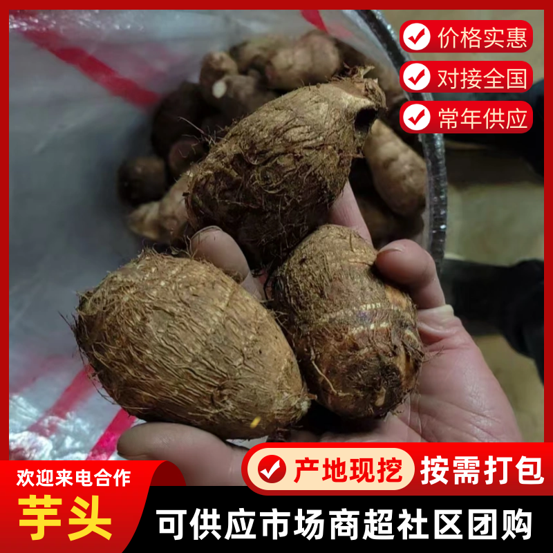 精品芋头，山东莒县芋头货量充足，毛芋头，粉糯牛奶小芋头