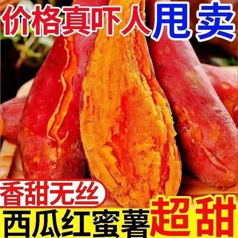 红薯，西瓜红红薯，河北红薯，自种600亩