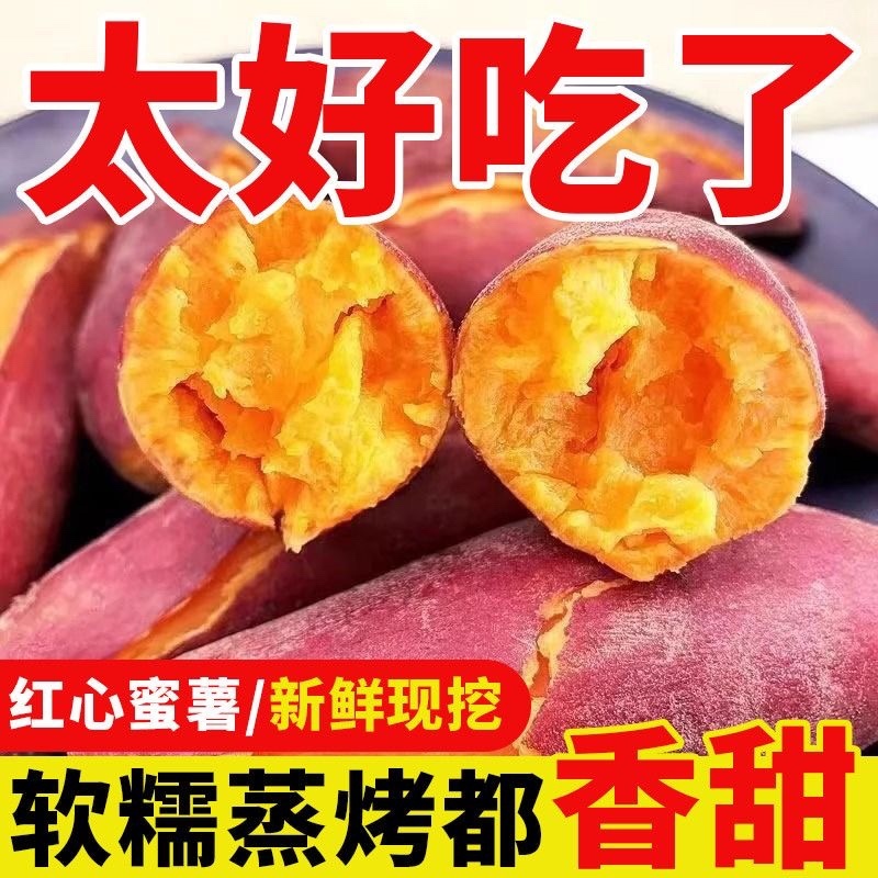 红薯，西瓜红红薯，河北红薯，自种600亩