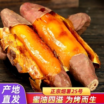 红薯，西瓜红红薯，河北红薯，自种600亩