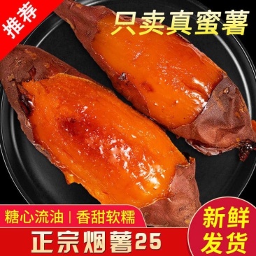 沙地烟薯，河北红薯，河北烟薯25，产区600亩