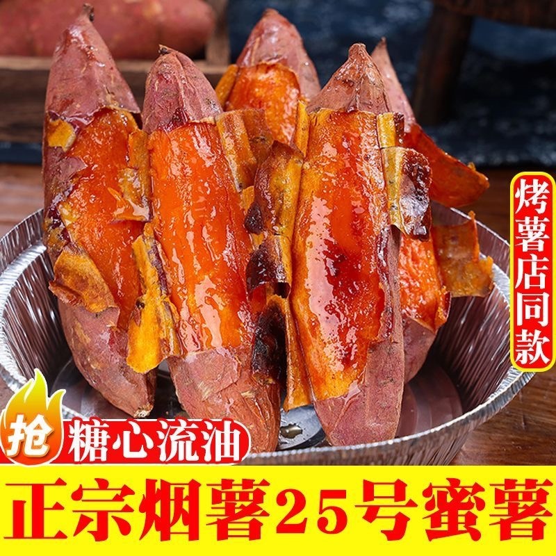 沙地烟薯，河北红薯，河北烟薯25，产区600亩