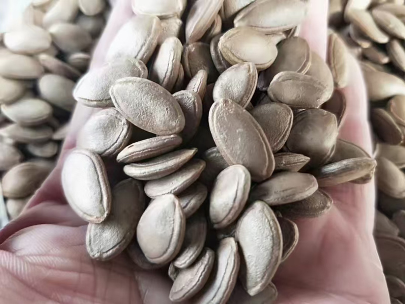安徽精品自产瓜子瓜蒌籽原汁原味原生态大量现货