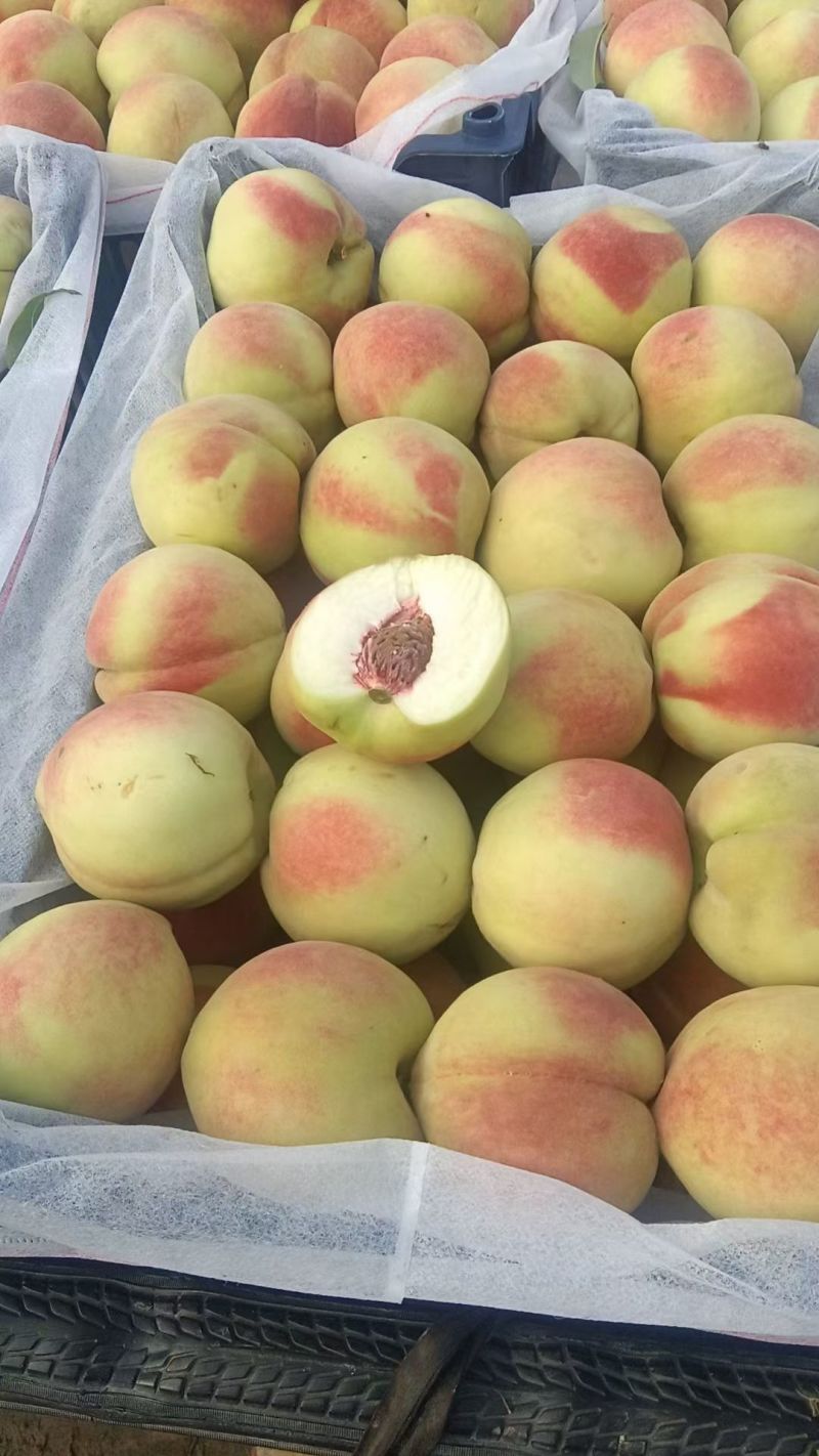 十四桃