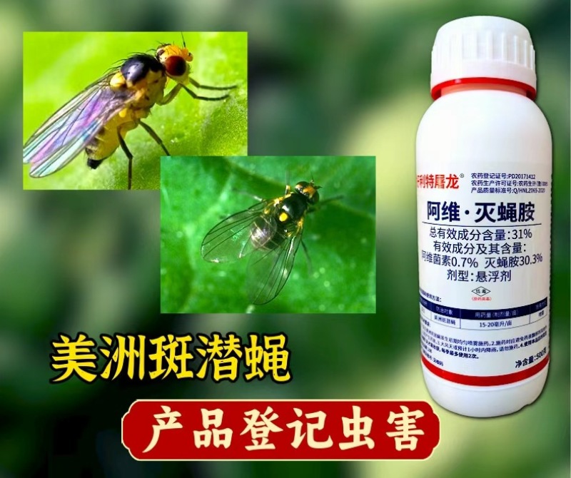 31%阿维灭蝇胺杀虫剂斑潜蝇触杀胃毒虫卵双打500克农用