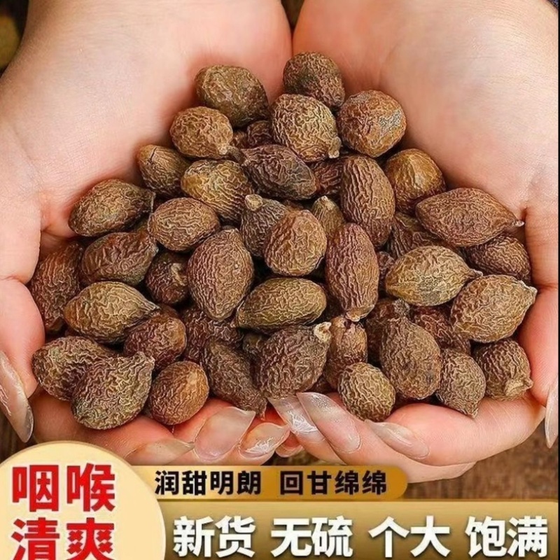 野生胖大海特级精选无硫泡茶家中常备正宗胖大海一级果