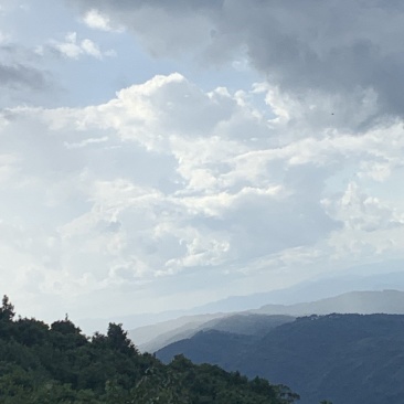 高山茶叶