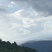 高山茶叶