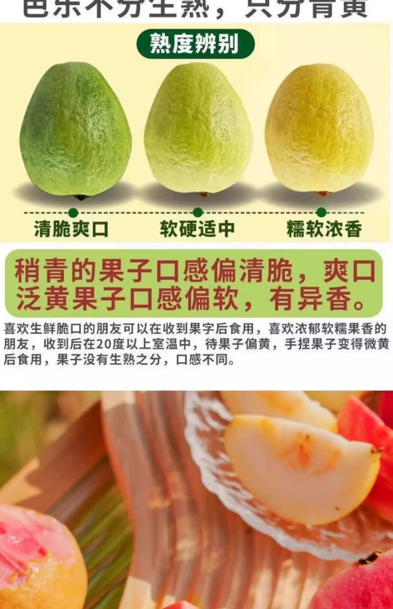 可一件代发新鲜奶油白心芭乐番石榴当季软糯甜