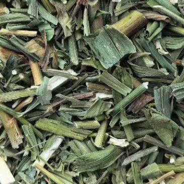 柴胡苗柴胡切片柴胡青苗柴胡