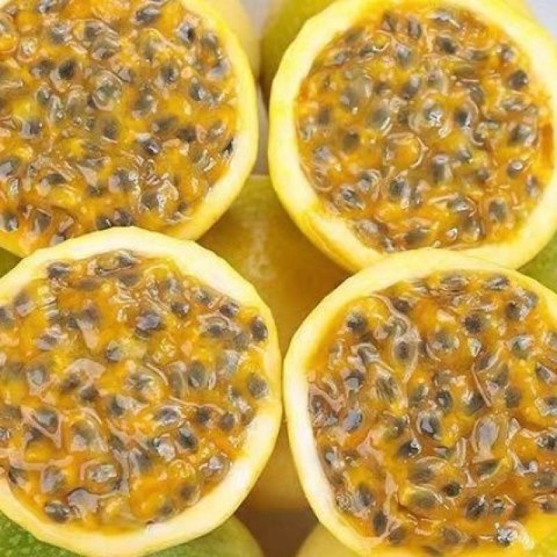 广西钦蜜9号纯甜百香果整箱批发，电商一件代发。
