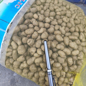 山药豆精品白玉山药豆