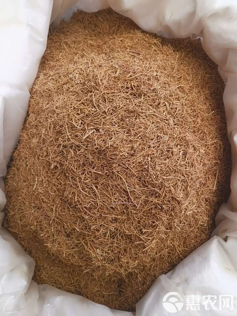 徐长卿对月草英雄草中药材欢迎各位老板来电咨询订购
