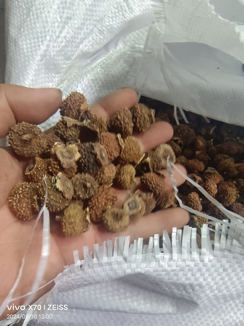 刺梨子贵州铜仁刺梨干自然晾晒一手货源产地直