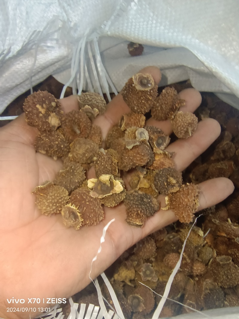 刺梨子贵州铜仁刺梨干自然晾晒一手货源产地直