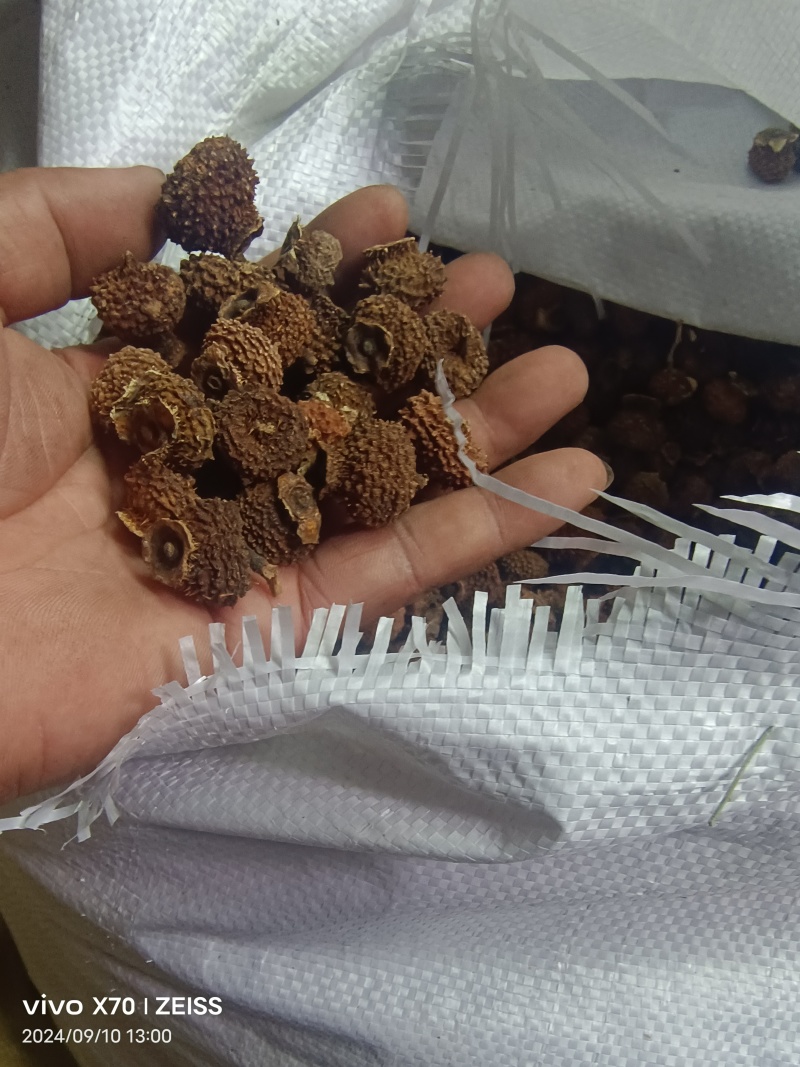 刺梨子贵州铜仁刺梨干自然晾晒一手货源产地直