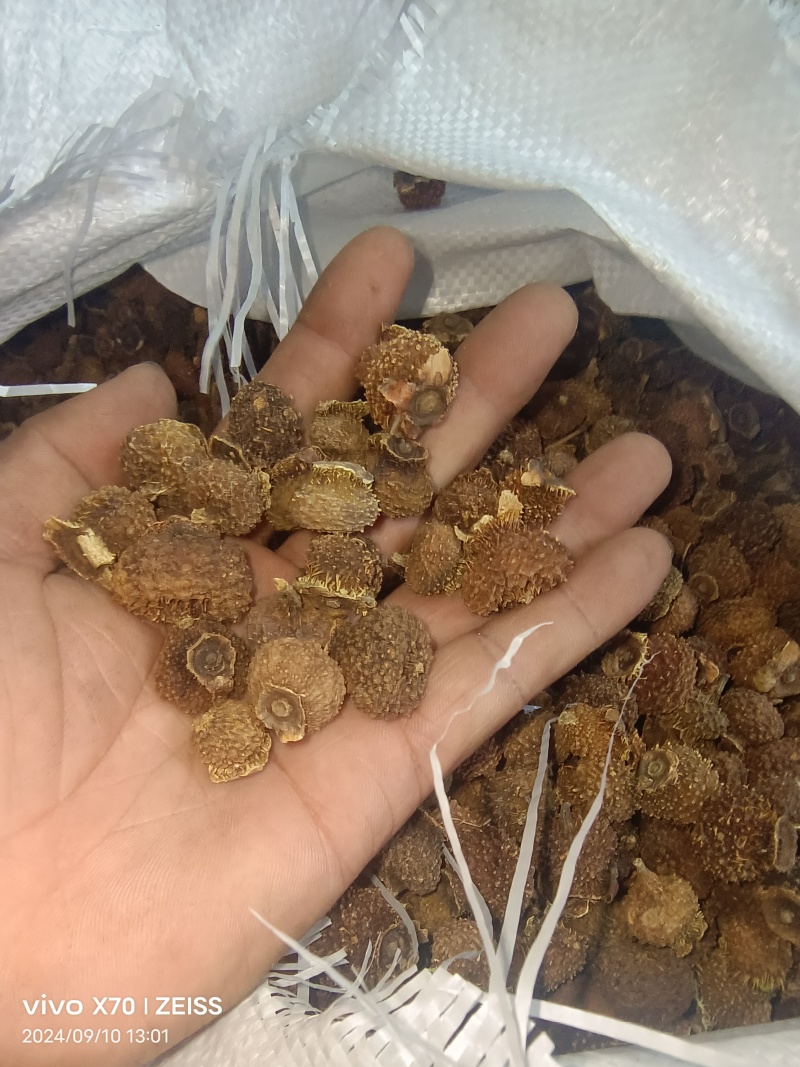 刺梨子贵州铜仁刺梨干自然晾晒一手货源产地直