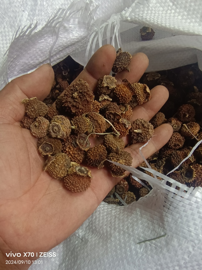 刺梨子贵州铜仁刺梨干自然晾晒一手货源产地直