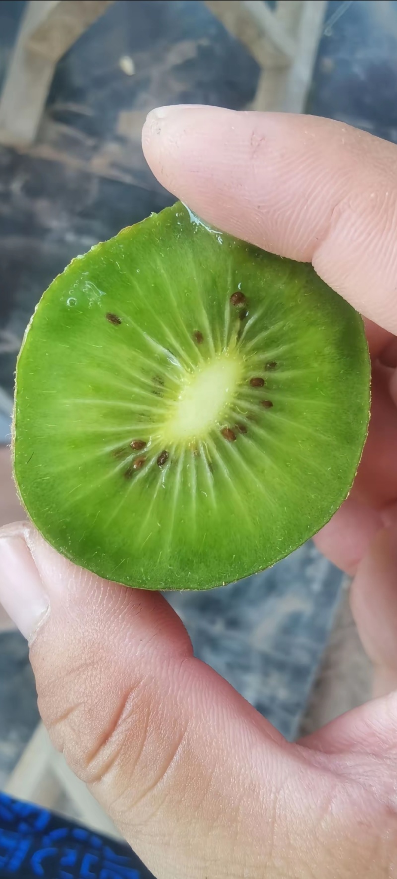 猕猴桃