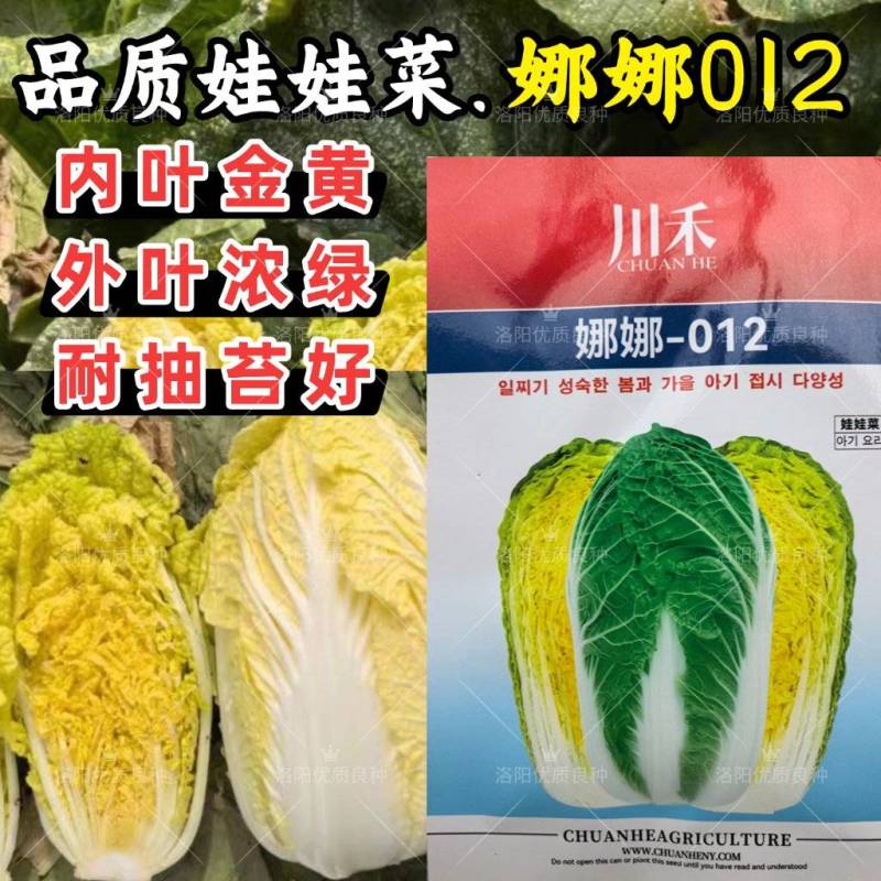娜娜012娃娃菜种子玲珑012小颗金黄心耐抽苔春秋娃娃菜