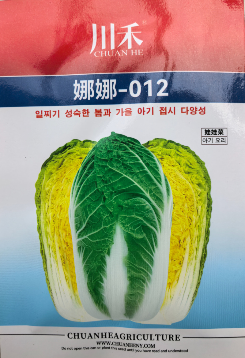 娜娜012娃娃菜种子玲珑012小颗金黄心耐抽苔春秋娃娃菜