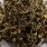 灯盏花灯盏细辛中药饮片欢迎各位老板来电咨询订购