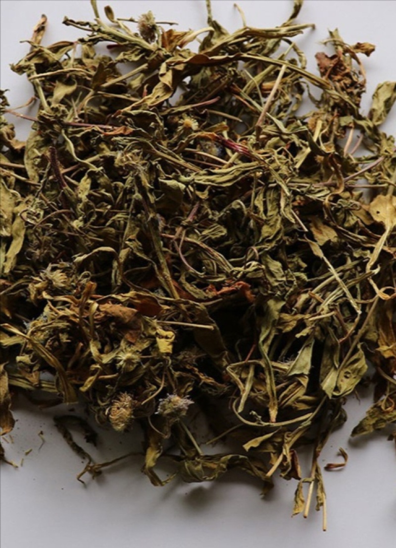 灯盏花灯盏细辛中药饮片欢迎各位老板来电咨询订购