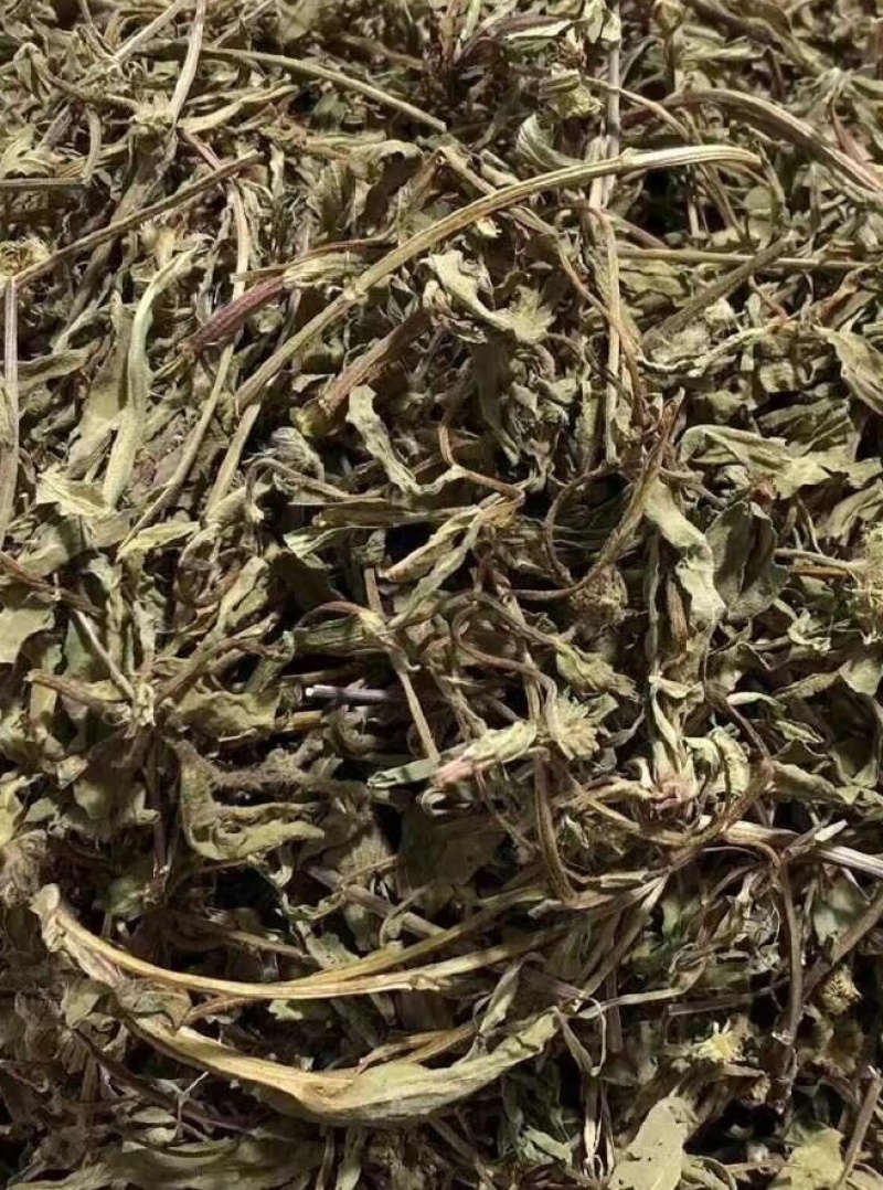灯盏花灯盏细辛中药饮片欢迎各位老板来电咨询订购