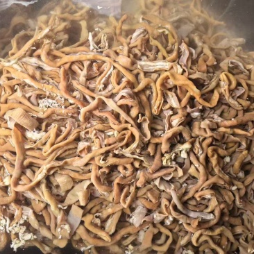 鸭肠