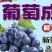 精品巨峰葡萄，大量上市欢迎新老客户来採购