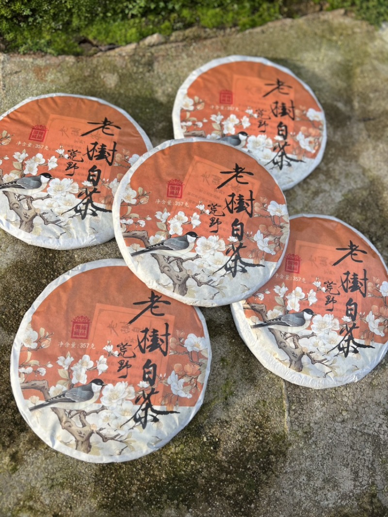 云南2020荒野白茶357克饼，一件42饼批发零售