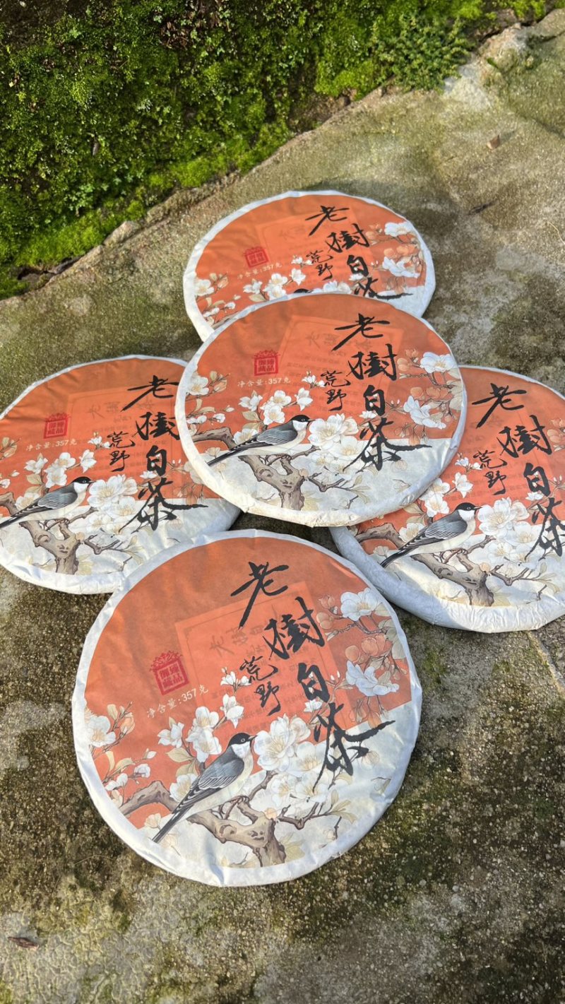 云南2020荒野白茶357克饼，一件42饼批发零售
