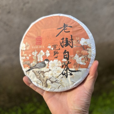 云南2020荒野白茶357克饼，一件42饼批发零售