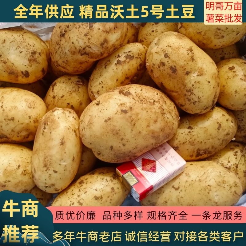 三优土豆（沃土5号v7西森6号实验1号雪川红ev太和九）